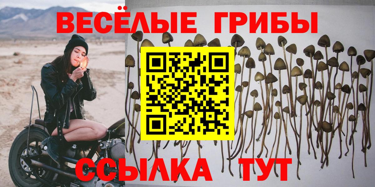 Галлюциногенные грибы прущие грибы  Вход с VPN  Магадан 